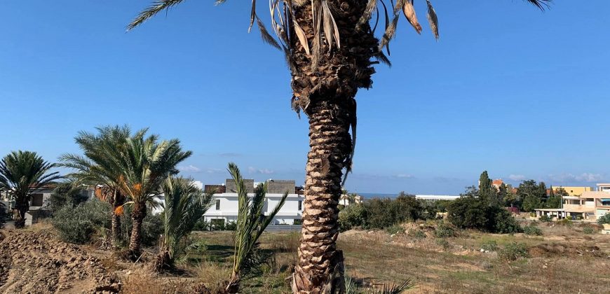 Paphos Chloraka Residential Land Plot BC060