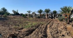 Paphos Chloraka Residential Land Plot BC060