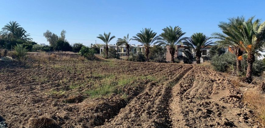 Paphos Chloraka Residential Land Plot BC060