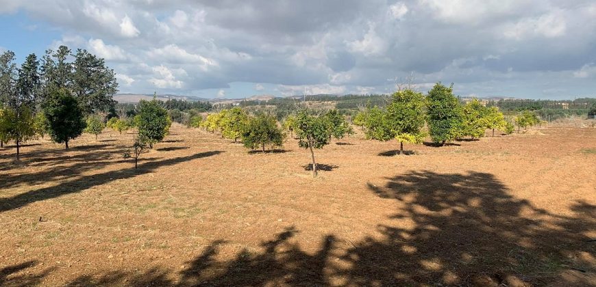 Paphos Mandria Residential Land Plot BC059