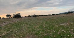 Paphos Pegeia Land Plot BC071