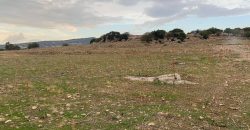 Paphos Pegeia Land Plot BC071