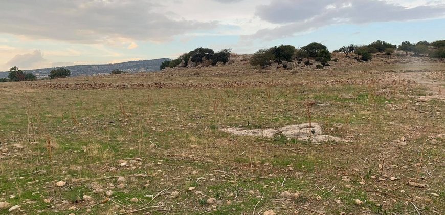 Paphos Pegeia Land Plot BC071