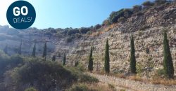 Field in Souskiou, Paphos GRD4730