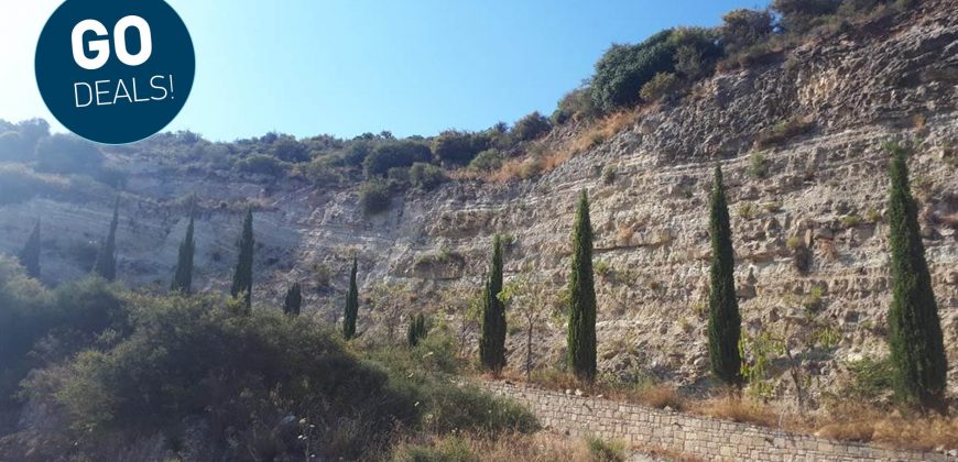 Field in Souskiou, Paphos GRD4730