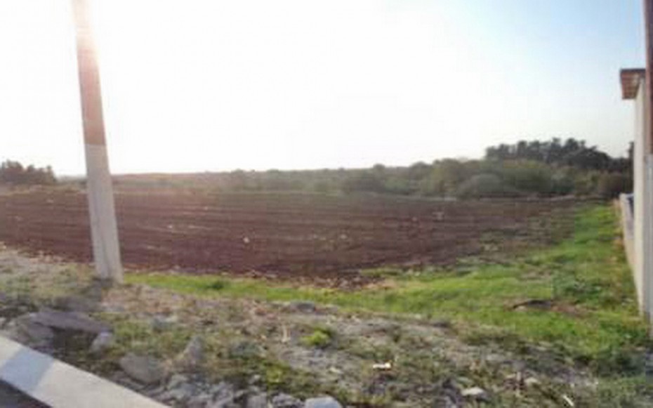 Paphos Anarita Agricultural Land For Sale RMR15453