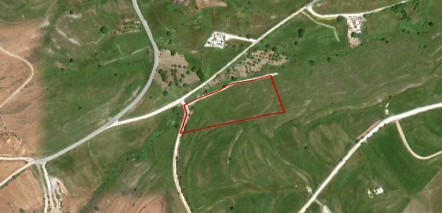 Paphos Arodes Residential Land For Sale RMR29378