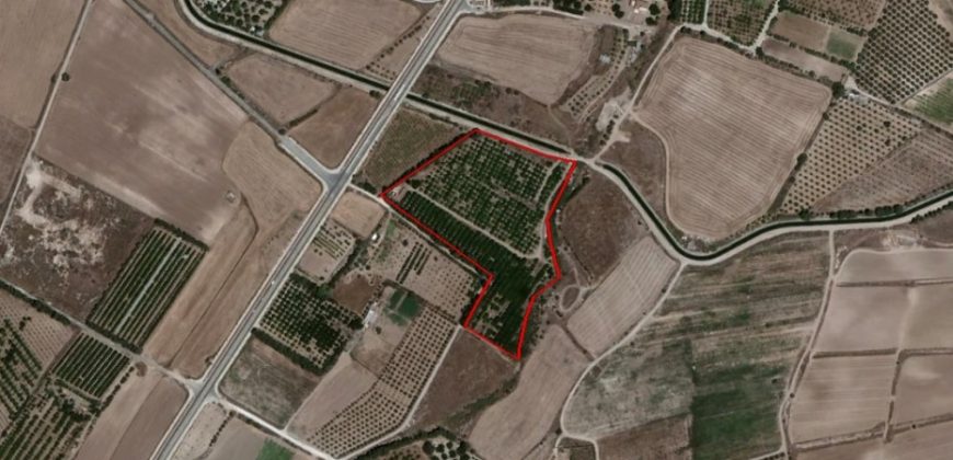 Paphos Geroskipou Agricultural Land For Sale RMR28687