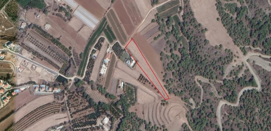 Paphos Gialia Agricultural Land For Sale RMR29443