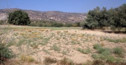 Paphos Giolou Residential Land For Sale RMR29323