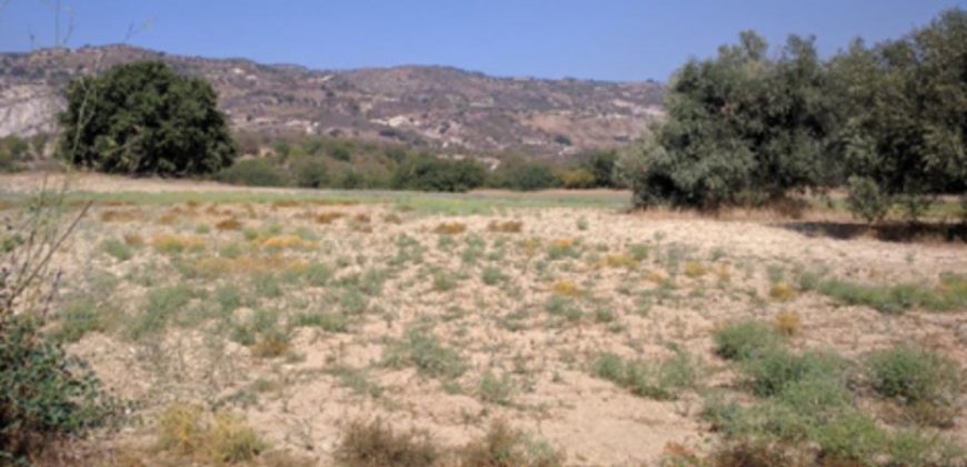 Paphos Giolou Residential Land For Sale RMR29323