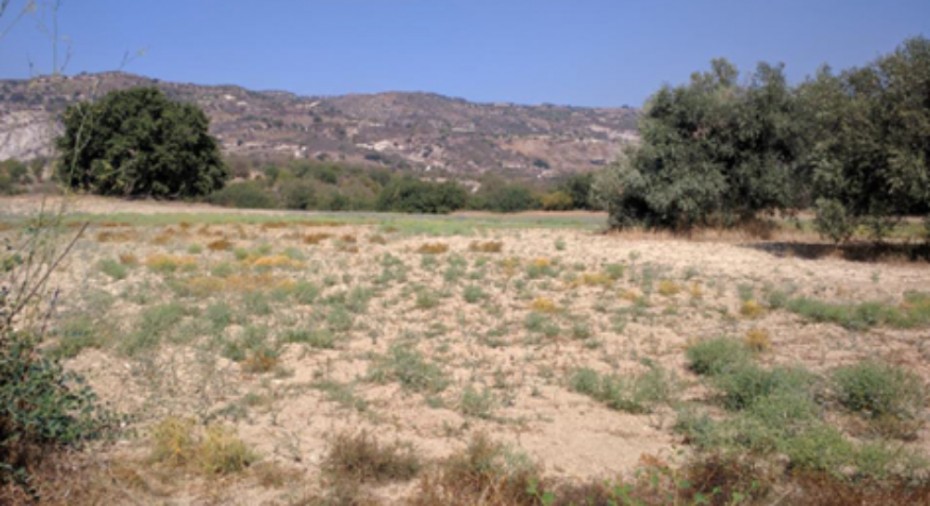 Paphos Giolou Residential Land For Sale RMR29323