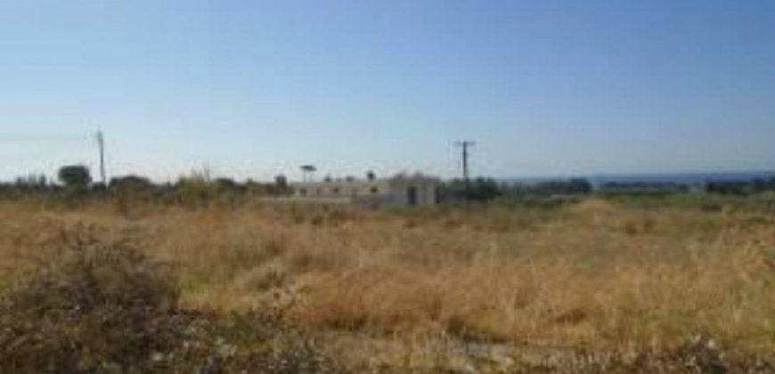 Paphos Kouklia Residential Land For Sale RMR16379