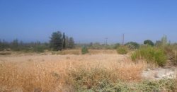 Paphos Kouklia Residential Land For Sale RMR16625