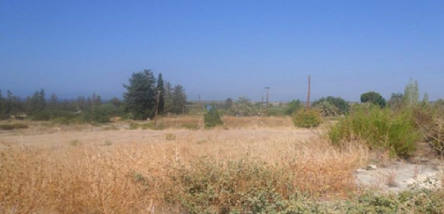Paphos Kouklia Residential Land For Sale RMR16625