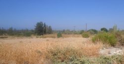 Paphos Kouklia Residential Land For Sale RMR16626