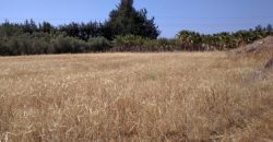 Paphos Kouklia Residential Land For Sale RMR27972