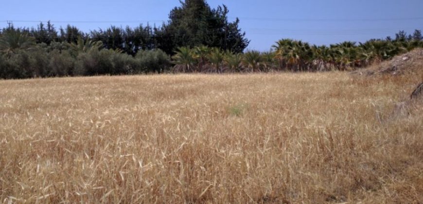 Paphos Kouklia Residential Land For Sale RMR27972