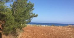 Paphos Nea Dimmata Residential Land For Sale RMR16914