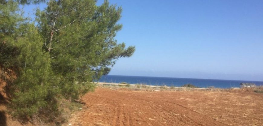 Paphos Nea Dimmata Residential Land For Sale RMR16914