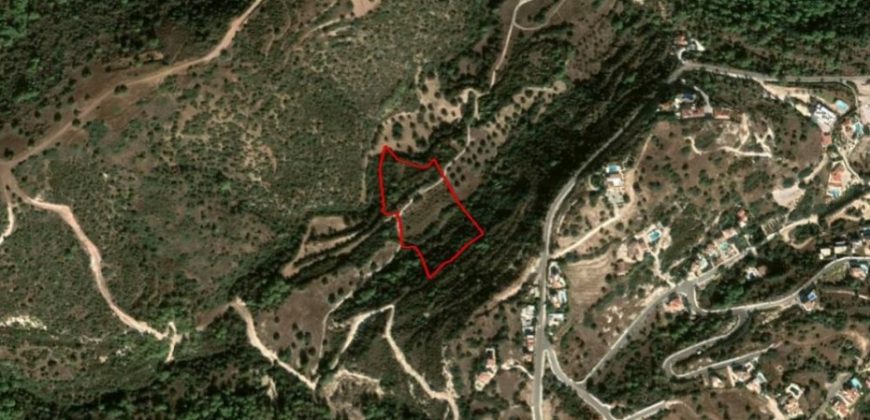 Paphos Neo Chorio Agricultural Land For Sale RMR39567