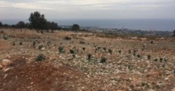 Paphos Pegia Residential Land For Sale RMR17027