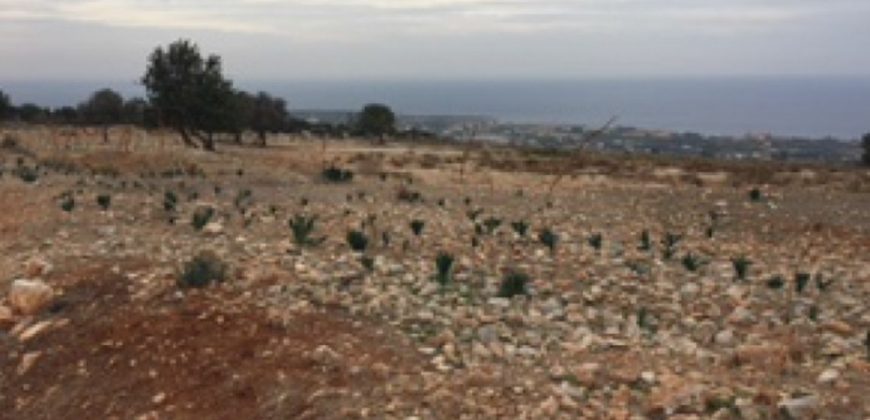 Paphos Pegia Residential Land For Sale RMR17027