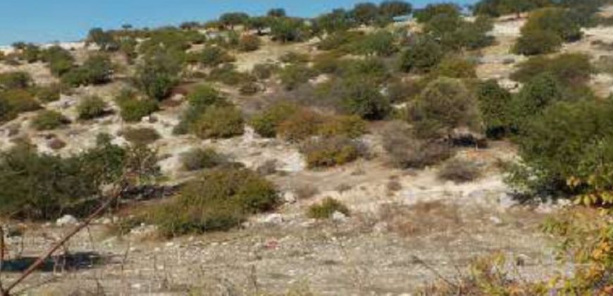 Paphos Peristerona Residential Land For Sale RMR17137