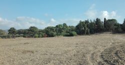 Paphos Polis Residential Land For Sale RMR16231