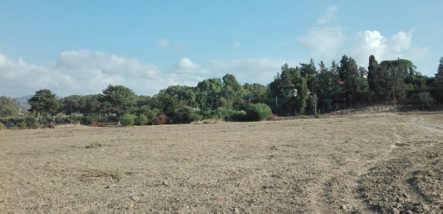 Paphos Polis Residential Land For Sale RMR16231