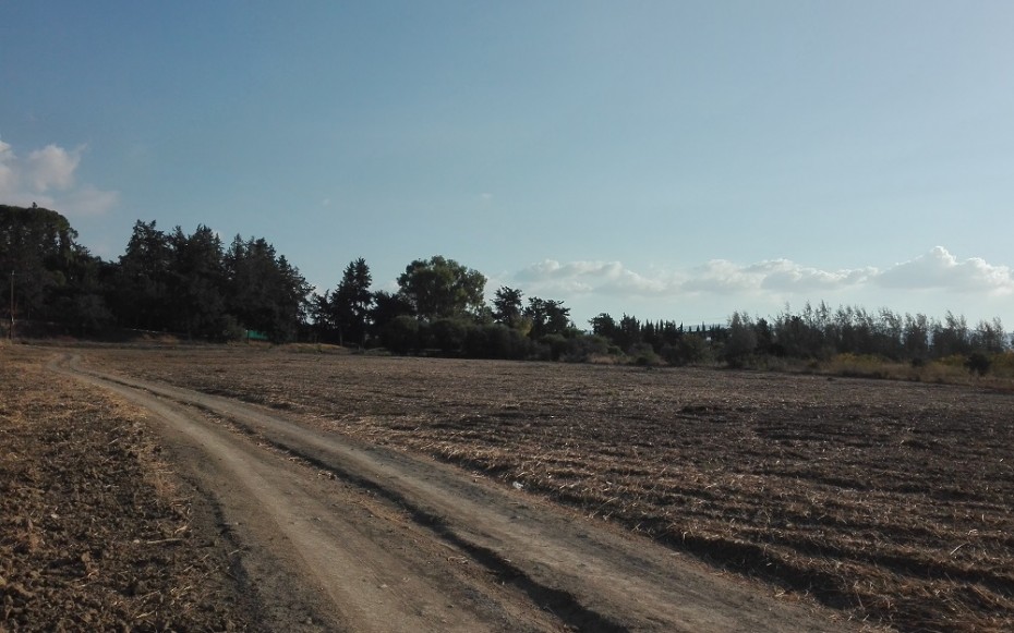 Paphos Polis Residential Land For Sale RMR16232