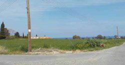 Paphos Polis Residential Land For Sale RMR16672