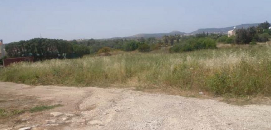 Paphos Polis Residential Land For Sale RMR28029