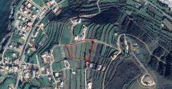 Paphos Pomos Residential Land For Sale RMR28544