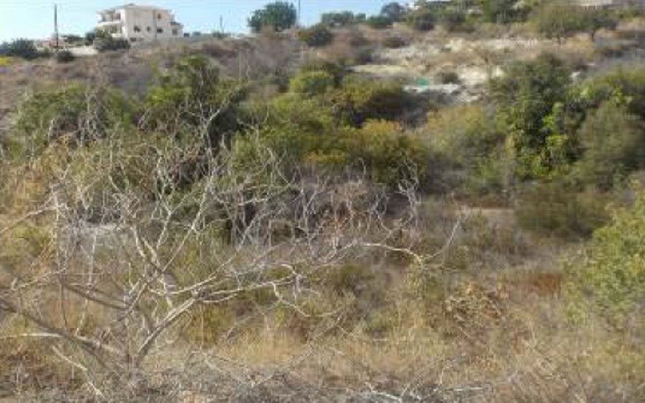 Paphos Tala Residential Land For Sale RMR16321