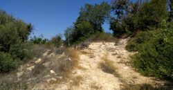 Paphos Tala Residential Land For Sale RMR16688