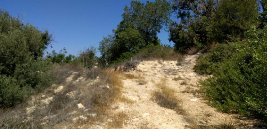 Paphos Tala Residential Land For Sale RMR16688