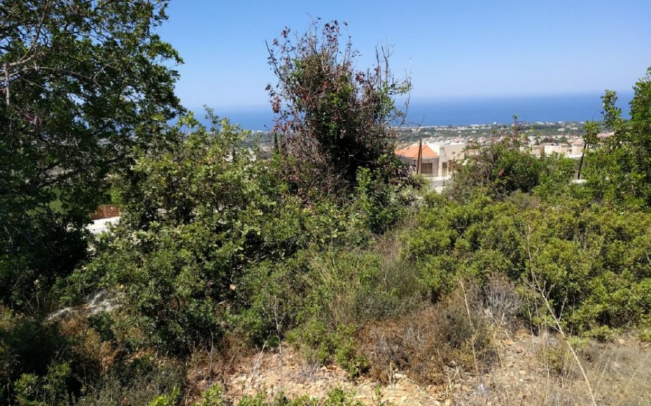 Paphos Tala Residential Land For Sale RMR16688