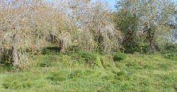 Paphos Tremithousa Residential Land For Sale RMR27973