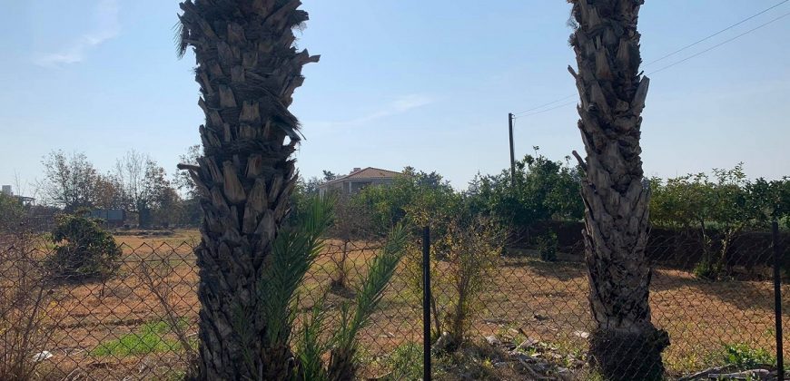 Paphos Kissonerga Residential Land Plot For Sale BC102