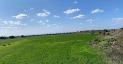 Paphos Konia Land Plot For Sale BC125
