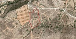 Paphos Anavargos Residential Land For Sale RMR40475