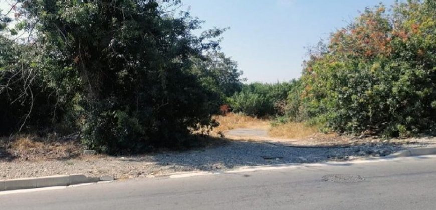 Paphos Chloraka Residential Land For Sale AMR14213