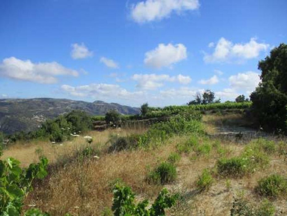 Paphos Koili Residential Land For Sale AMR14048