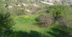 Paphos Marathounta Residential Land For Sale AMR12685