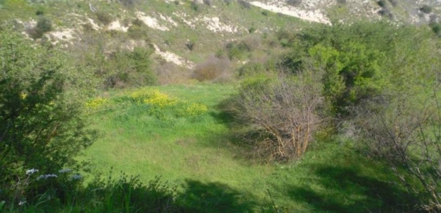 Paphos Marathounta Residential Land For Sale AMR12685