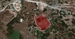 Paphos Marathounta Residential Land For Sale AMR12685