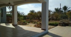 Paphos Pegeia 4 Bedroom Villa For Rent BCP004