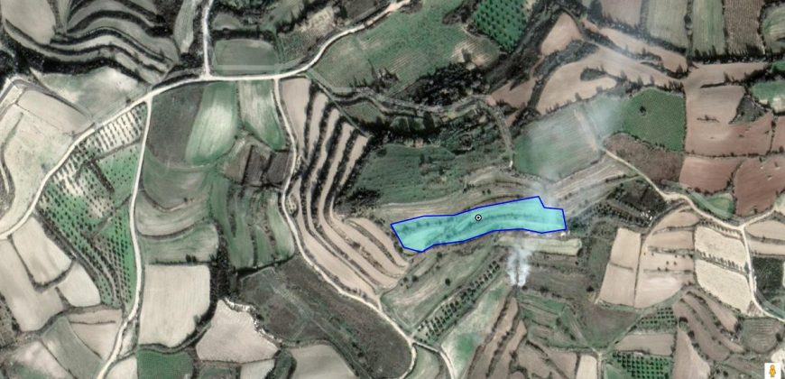 Paphos Polemi Land Agricultural For Sale BC238