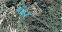 Paphos Peristerona Land Agricultural For Sale BC274